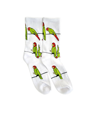 THE BARBARY COAST SOCKS